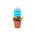 Plant Dionaea Muscipula in glass vase with Decoration !!!