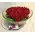 Red roses  A' quality Dutch inside quality glass vase.