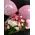 Arrangement  "Super Pack" for new born baby girl + Balloon +Teddy !! (also available in blue). Exclusive.