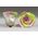 Ανθοπωλείο. (1) Βαλσαμωμένο "4ever" τριαντάφυλλο "Ουράνιο Τόξο" σε "Γυάλινο Θόλο" Διαμ 12εκ. χ 14εκ.