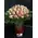 Upper secret roses.Exclusive !