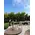 Island Athens Riviera Club.Wedding Decoration. Arch, Tables, Reception, Venue.