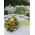 Island Athens Riviera Club.Wedding Decoration. Arch, Tables, Reception, Venue.