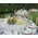 Island Athens Riviera Club.Wedding Decoration. Arch, Tables, Reception, Venue.