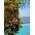 Island Athens Riviera Club.Wedding Decoration. Arch, Tables, Reception, Venue.