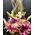 Σύνθεση σε ποιοτικό γυάλινο βάζο με λουλούδια. (επιλογή των λουλουδιών αναλόγως την εποχή και το θέμα διακόσμησης)Σύνθεση σε ποιοτικό γυάλινο βάζο με λουλούδια. (επιλογή των λουλουδιών αναλόγως την εποχή και το θέμα διακόσμησης)