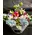 Exclusive Flower Arrangement in Glass. Very Special.