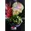Plants Arrangement In Quality "Artstone" Pot. Special.