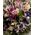 Flower arrangement "Spring Purple Mystery". Exclusive.