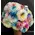(10) Chrysanthemums Single Heads Exclusive "Anastasia" or "Antonov" Variety( gift wrapped) (rainbow colors).