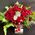 Κόκκινα Τριαντάφυλλα (31) τεμ. Σύνθεση Σε Γυάλινο.