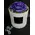 Rose Forever XXL (12cm) in Exclusive Gift Hat Box !!!
