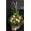 Tropical Flower Arrangement or Bouquet !!!(Exclusive)