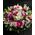 Ανθοπωλείο . Σύνθεση σε καλάθι με exclusive λουλούδια εποχής σε γκρουπ!!! + Μπαλόνι!!!
