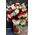 Roses Red, Pinky, White Colored Bouquet. (50)stems in total + Vase.