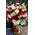 Roses Red, Pinky, White Colored Bouquet. (50)stems in total + Vase.