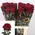 (12) Red Roses Explorer !!! Very exclusive "King of Reds"