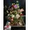 Flower arrangement on tray. Fence structure !!!