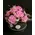 (10) Exclusive Black Waxed  Roses Arrangement Vase or Hatbox !!! NEW!!! Also available in pink and orange.