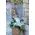 Baptismal "Boy". Flowers in Baskets Decoration.