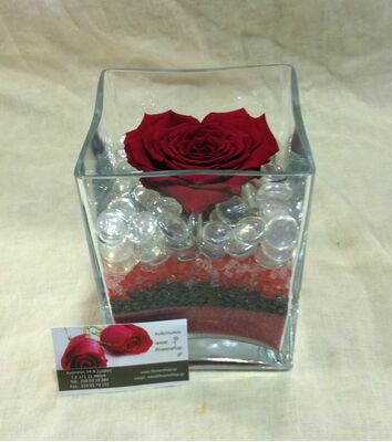 Τριαντάφυλλο βαλσαμωμένο σε σύνθεση. Φυσικό μεγάλο κεφάλι (10 cm) επεξεργασμένο!!! Νέο Είδος !!! "Σχήμα ΚΑΡΔΙΑΣ" Ιδιαίτερο.