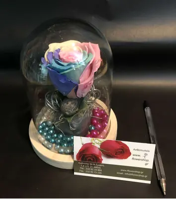 Rose Preserved "RAINBOW"  in "Glass Fanus" Diam 12 cm Height 14 cm .