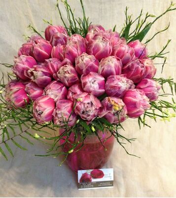 Τουλίπες (20) Τεμ.  σε βάζο + διακόσμηση.Πολυτελές.