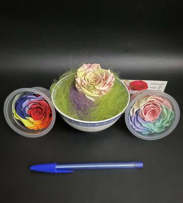Rose Forever (1  head) Rainbow in China pot. Pastel, Orange or Pink pedal color combination