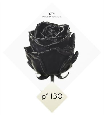 (10) Exclusive Waxed Roses  (random colors) in vase with colored water!!! NEW