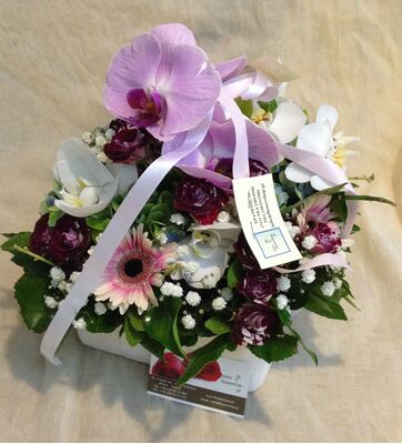 Arrangement with vanda orchids in "paper look" ceramic pot.Special.