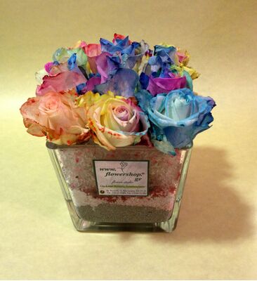 Rainbow roses (16) stems in glass vase with decorative sand layers