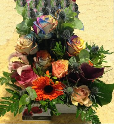 Kαλοκαιρινος δισκος με τριανταφυλλα Rainbow