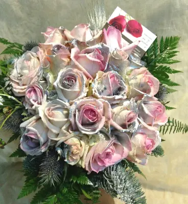 Roses aqua snowy.Special In Vase.