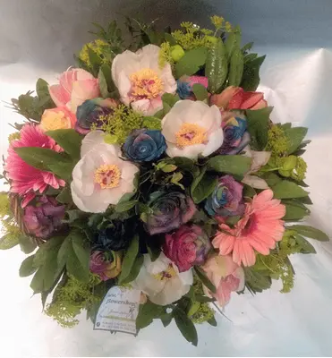 Roses "Rainbow"
