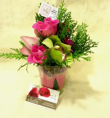 Season flowers - Random Varieties