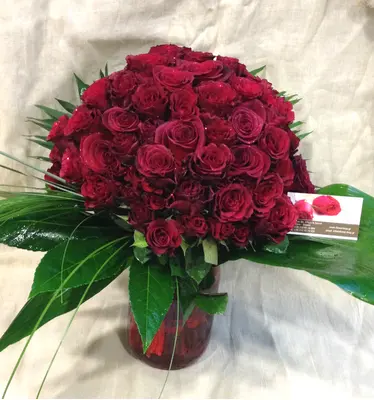 (101) Red Exclusive Dutch Roses 50 cm gift wrapped in vase special