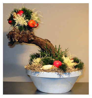 Bonsai style arrangement