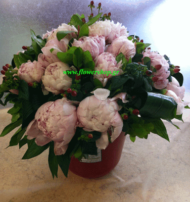 Paeonias (20) stems in fine quality ceramic vase