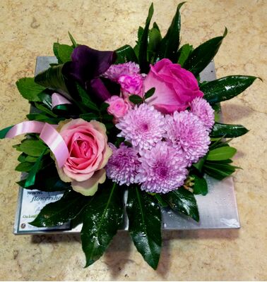 Season flowers - Random Varieties - Random Colors in zink pot!!! (only for Athens & Suburbs)