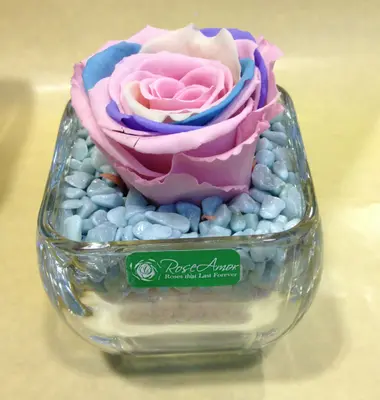 Rainbow Rose Big Head (preserved) In Arrangement with decoration.