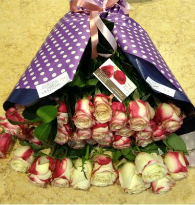 Roses  Classy Alison or Advance Sweetness.