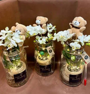Valentine Mini Orchid. Love plant in glass vase, teddy, leds and decoration