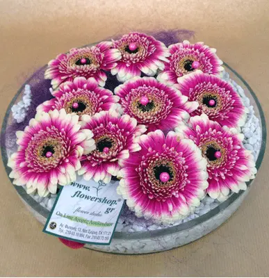 gerberas