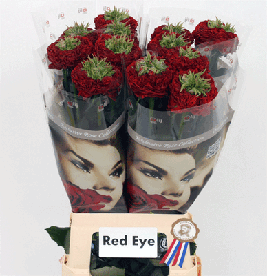 Τριαντάφυλλο "Red Eye" με (4) καρδιές