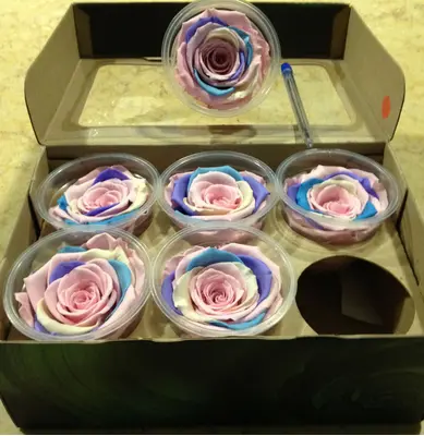 Rainbow Rose Big Head (preserved) In Arrangement with decoration.