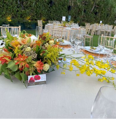 Island Athens Riviera Club.Στολισμός  Δεξίωσης. Αψίδα, Τραπεζια, Χώρος.