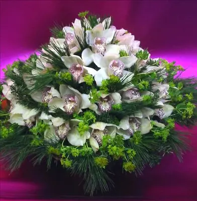 Cymbidium or phalaenopsis  orchids in basket