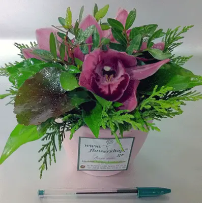 Season flowers - Random Varieties - Random Colors in ceramic pot!!!