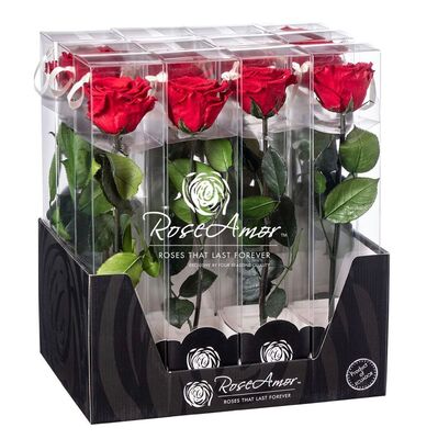 Αγίου Βαλεντίνου. Σετ 3 τεμάχια από βαλσαμωμλενα τριαντάφυλλα. (1) display box (1) plexi glass cube & (1) jewel case