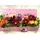 Flower box